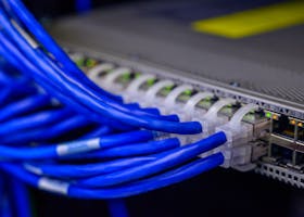 Detailed view of blue ethernet cables connected to a network switch in a data center.